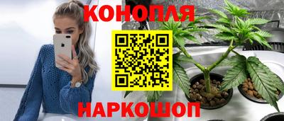 кокс Моздок